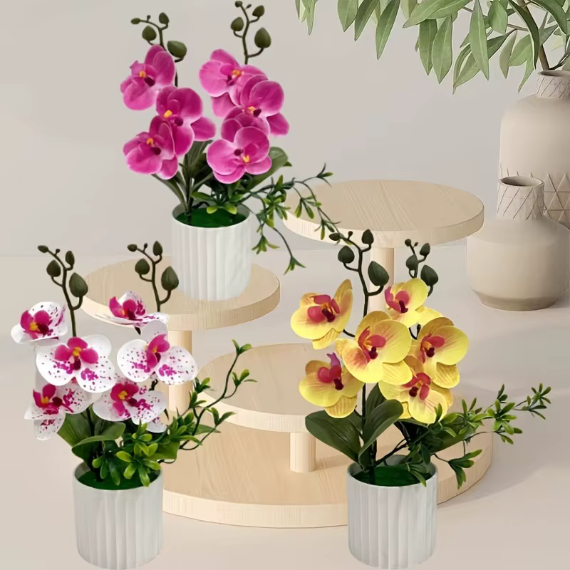 Set of 3 Potted Butterfly Orchids 28cm Tall