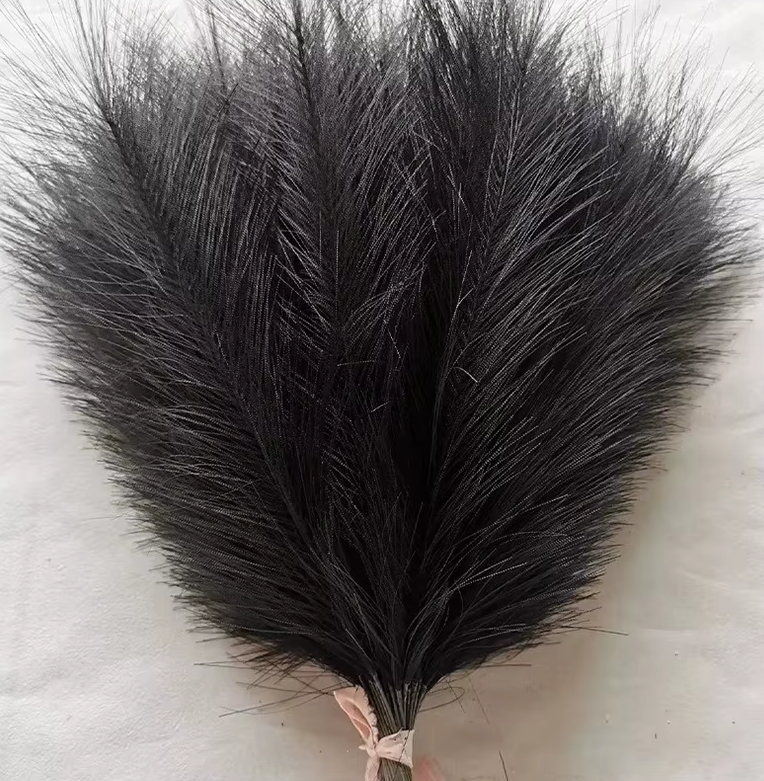 Bunch of Black Pampas Grass x 30 Stems