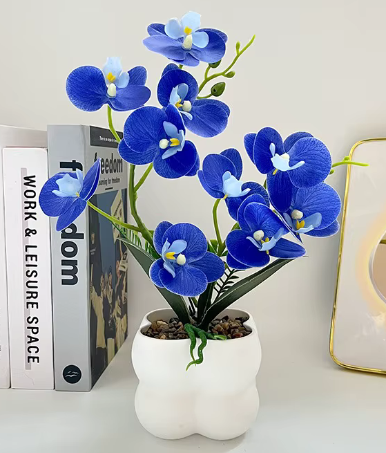 Vibrant 'Real Touch' Butterfly Orchid in Pot 30cm