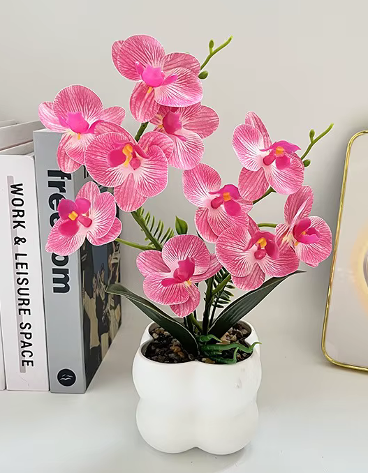 Vibrant 'Real Touch' Butterfly Orchid in Pot 30cm