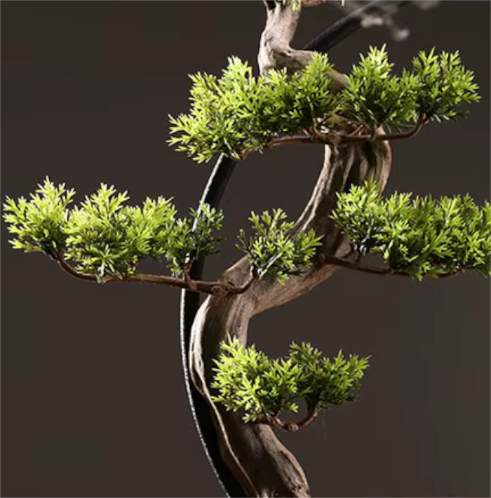 Pine Bonsai Large Wooden Frame with Incense Burner