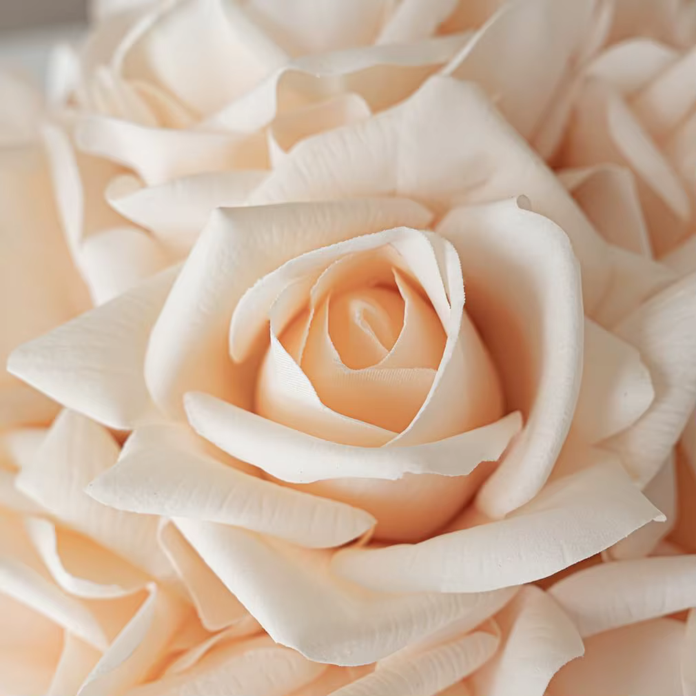 Large Head Pink or Champagne ROSES Bouquet x 10 Flowers