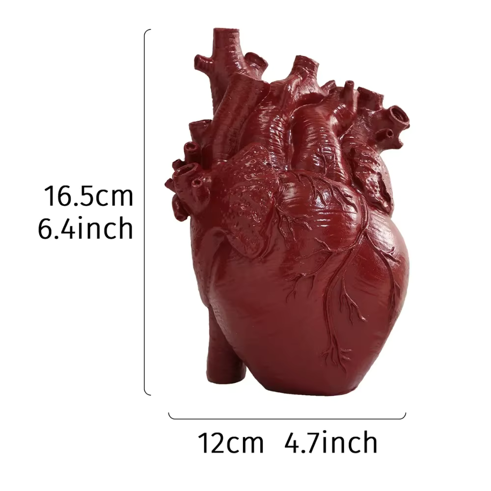 Novelty White Ceramic Anatomical Heart VASE - Also in Red