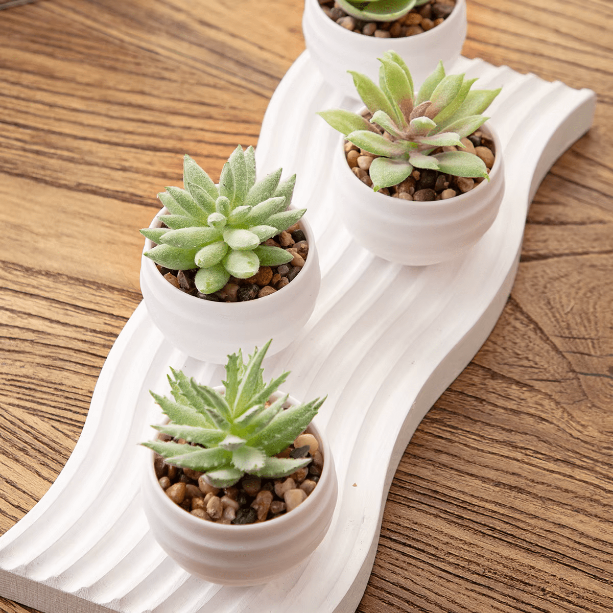 Artificial Potted Plants Succulent Aloe Vera x 6 Set in Black or White - The Floral Gallery