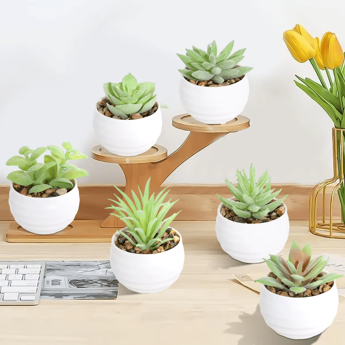 Artificial Potted Plants Succulent Aloe Vera x 6 Set in Black or White - The Floral Gallery