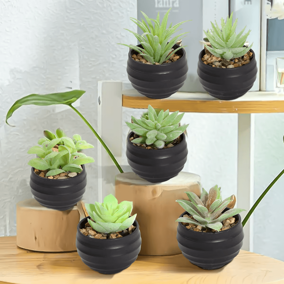 Artificial Potted Plants Succulent Aloe Vera x 6 Set in Black or White - The Floral Gallery