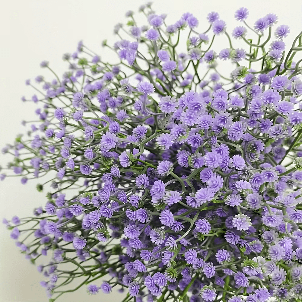 Artificial Purple Baby's Breath Gypsophila x 40 Large Stems - The Floral Gallery