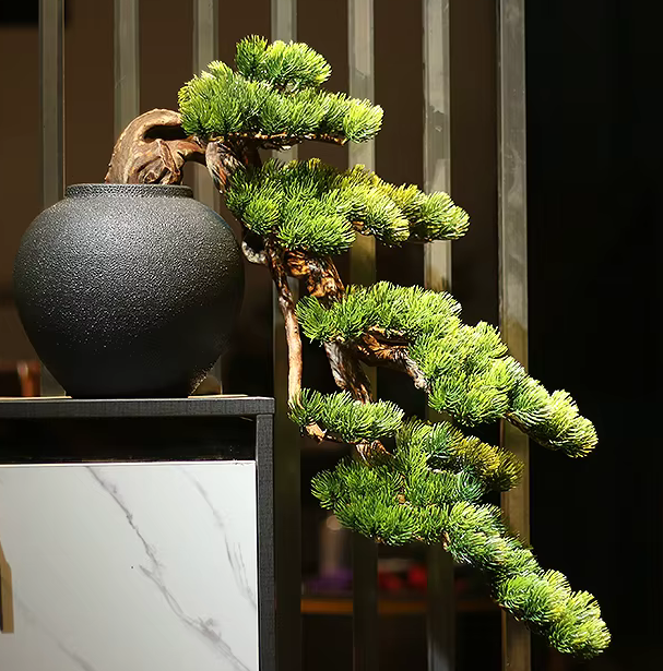 Dramatic Cliff Welcoming Pine Bonsai Tree in Pot