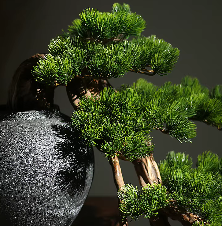 Dramatic Cliff Welcoming Pine Bonsai Tree in Pot