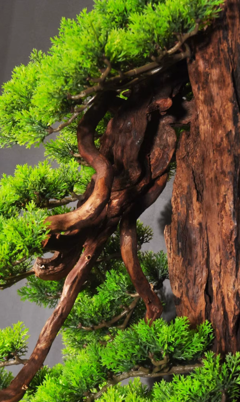 Striking Large Hanging Wall Pine Artificial Bonsai
