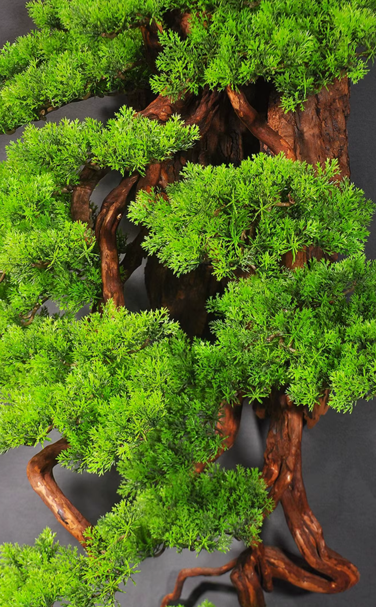 Striking Large Hanging Wall Pine Artificial Bonsai