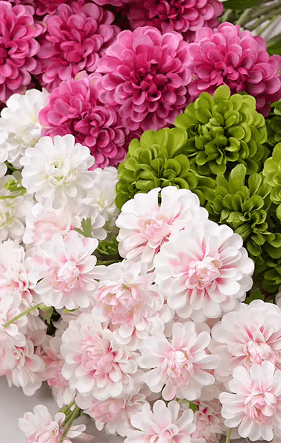 Beautiful 6 Head Crysanthemum SILK Flowers in Pink Green or White - The Floral Gallery