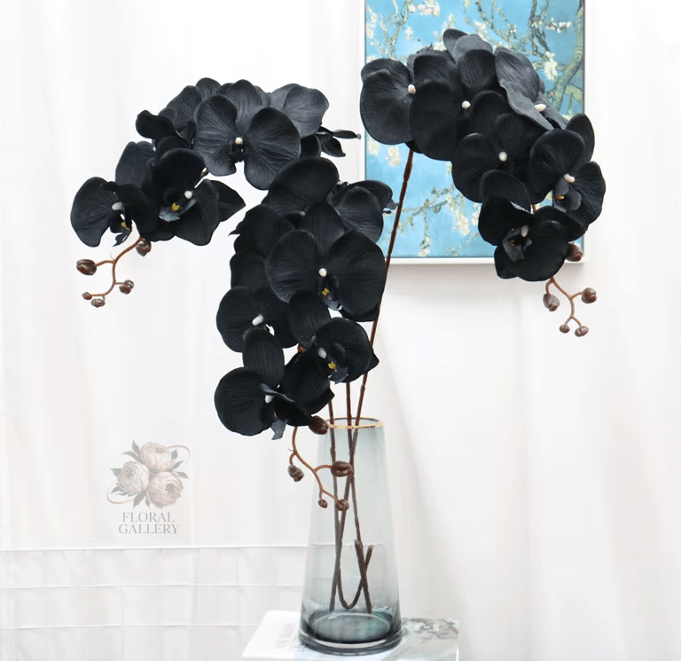 Black Butterfly Orchid Premium SILK Large Head Flowers - The Floral Gallery