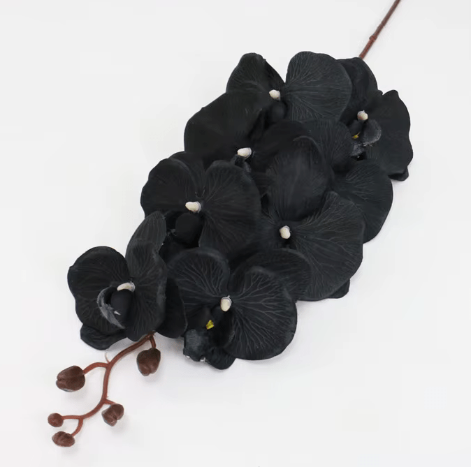 Black Butterfly Orchid Premium SILK Large Head Flowers - The Floral Gallery