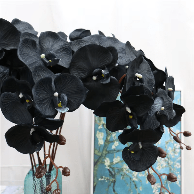Black Butterfly Orchid Premium SILK Large Head Flowers - The Floral Gallery