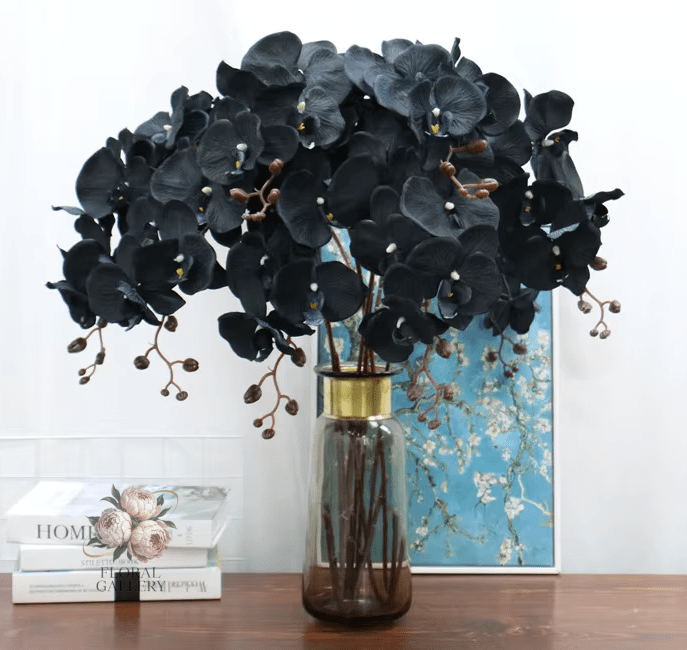 Black Butterfly Orchid Premium SILK Large Head Flowers - The Floral Gallery