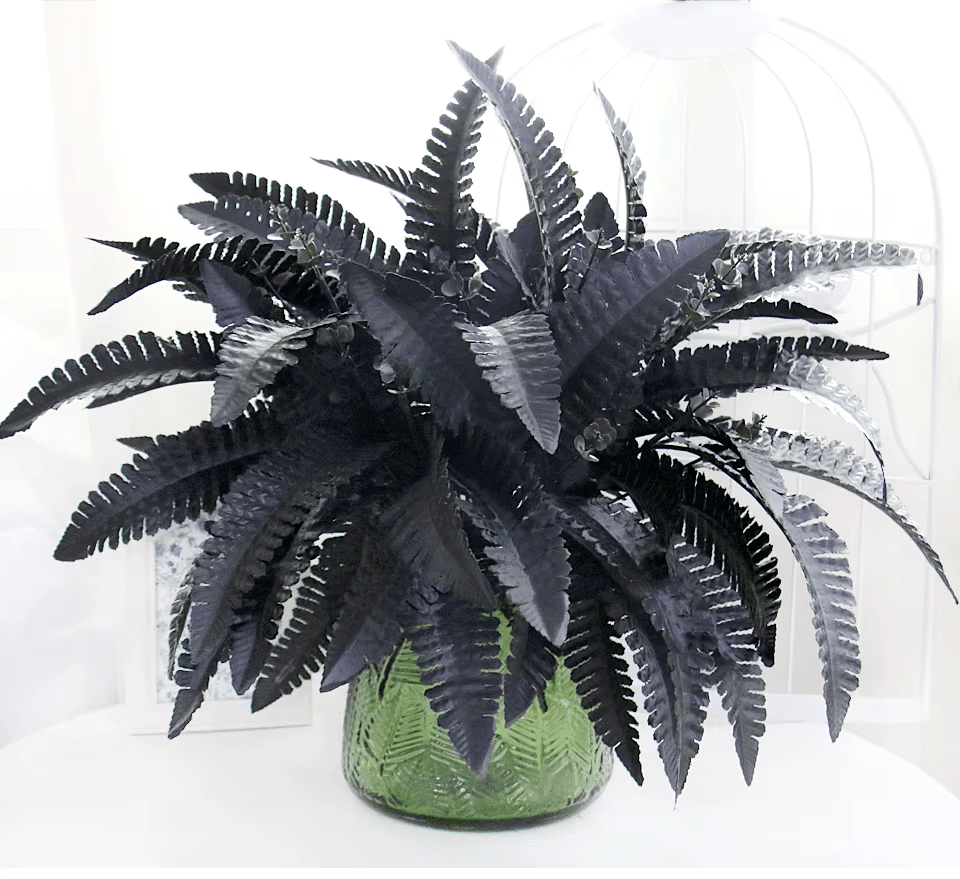 Black Persian Grass Fern SILK Artifical Flowers Multi Branch - The Floral Gallery