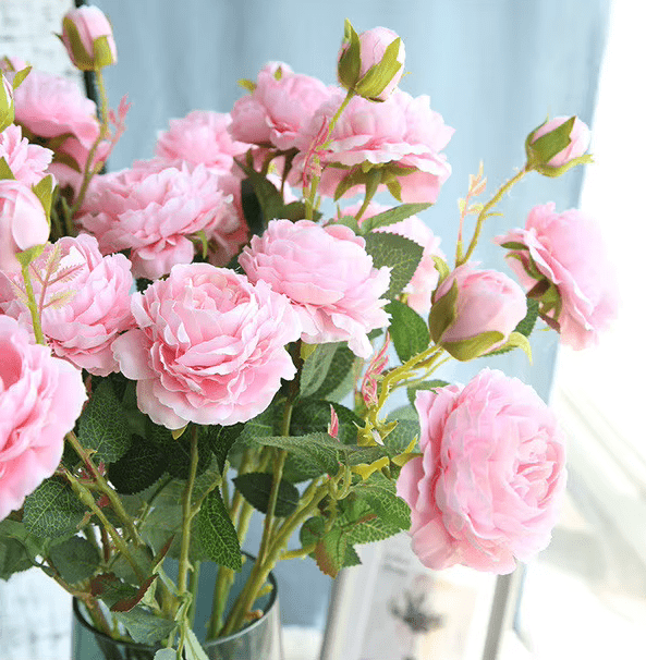 Champagne or Pink Realistic Silk Peony Long Stems 61cm x 3 - The Floral Gallery