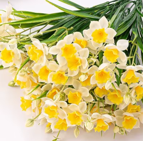 Cheerful Bunch of Artificial Daffodils x 30 Flowers