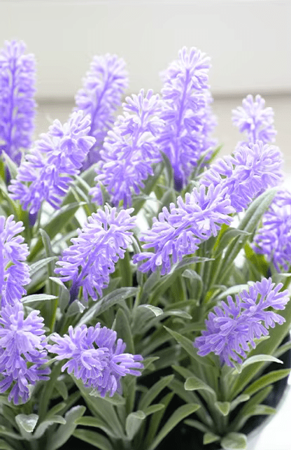 Lovely Lavender Real Touch Artificial Flowers Potted Plant in Pot - The Floral Gallery