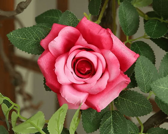 Premium Rattan Vine & SILK Roses Hanging Flowers 66cm Stem - The Floral Gallery