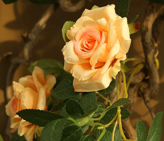 Premium Rattan Vine & SILK Roses Hanging Flowers 66cm Stem - The Floral Gallery