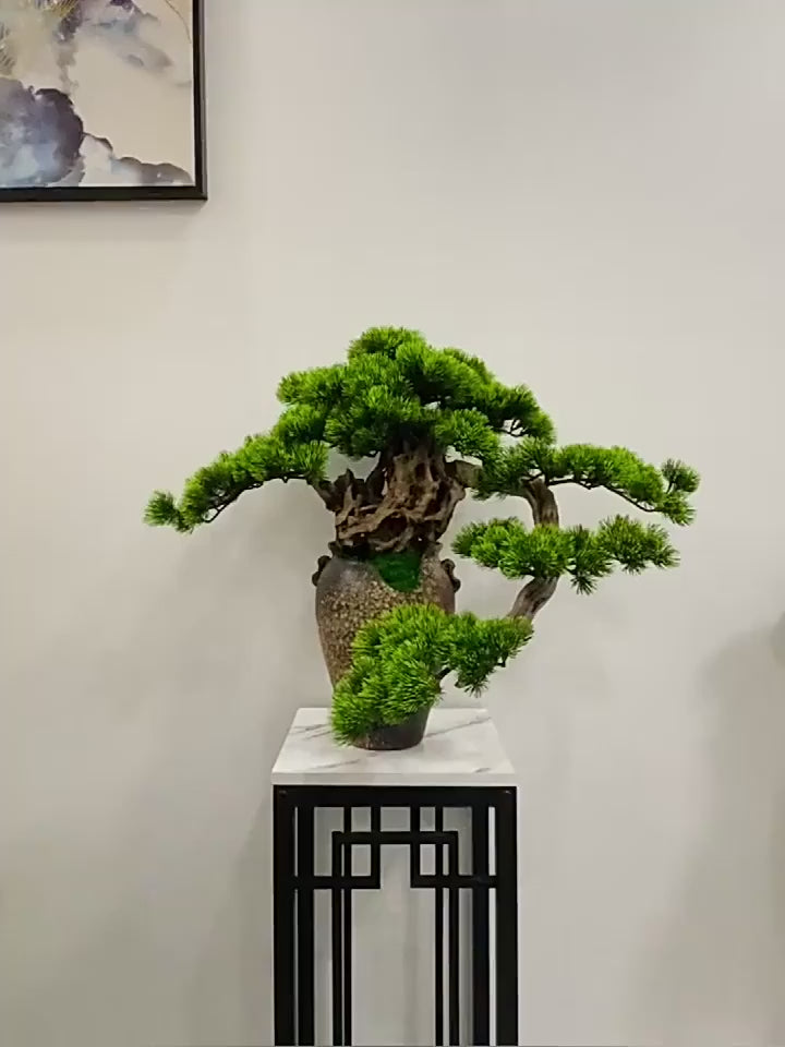 Large 70cm Deluxe Welcoming Pine Bonsai in Retro Pot