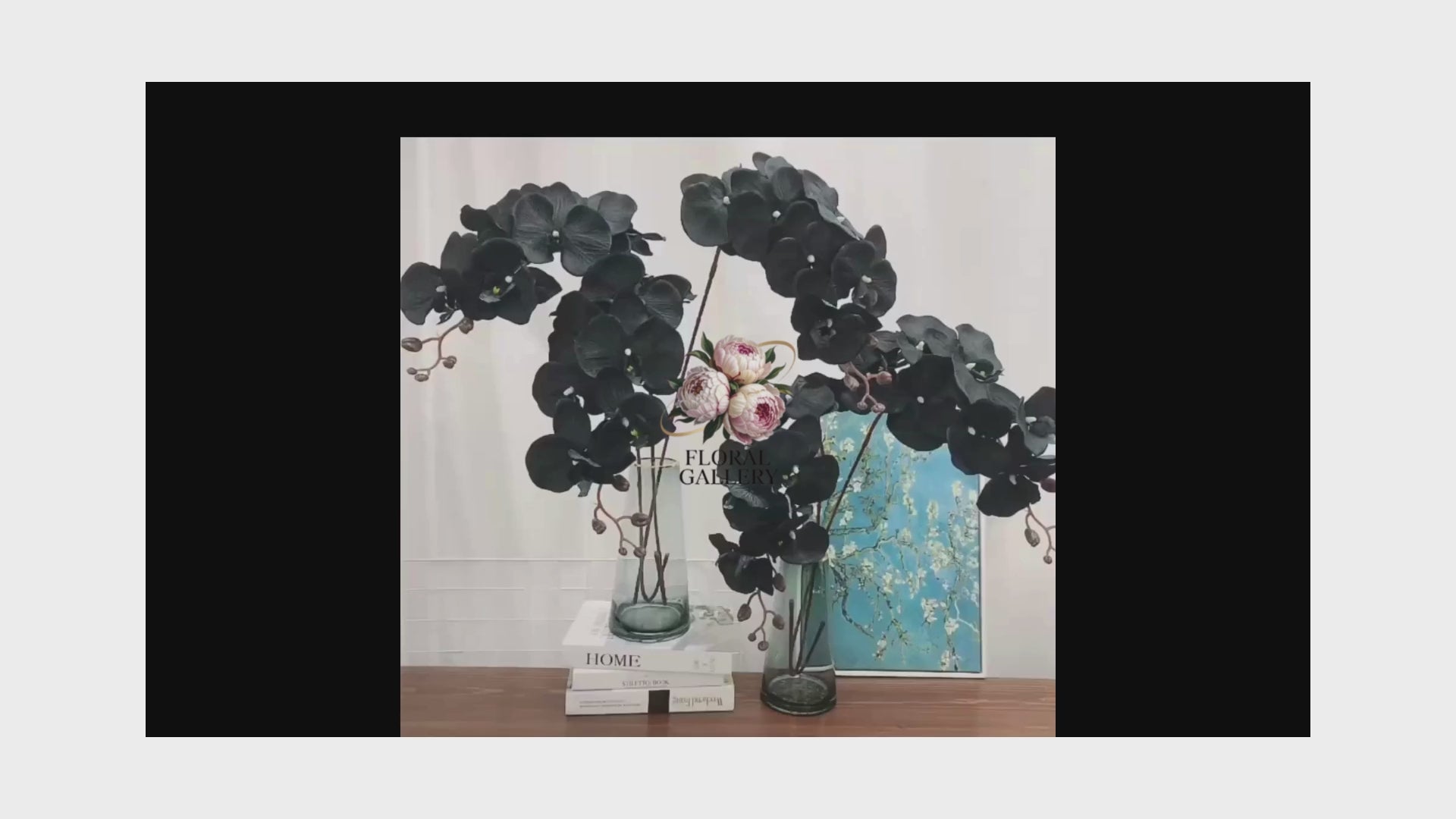 Black Butterfly Orchid Premium SILK Large Head Flowers