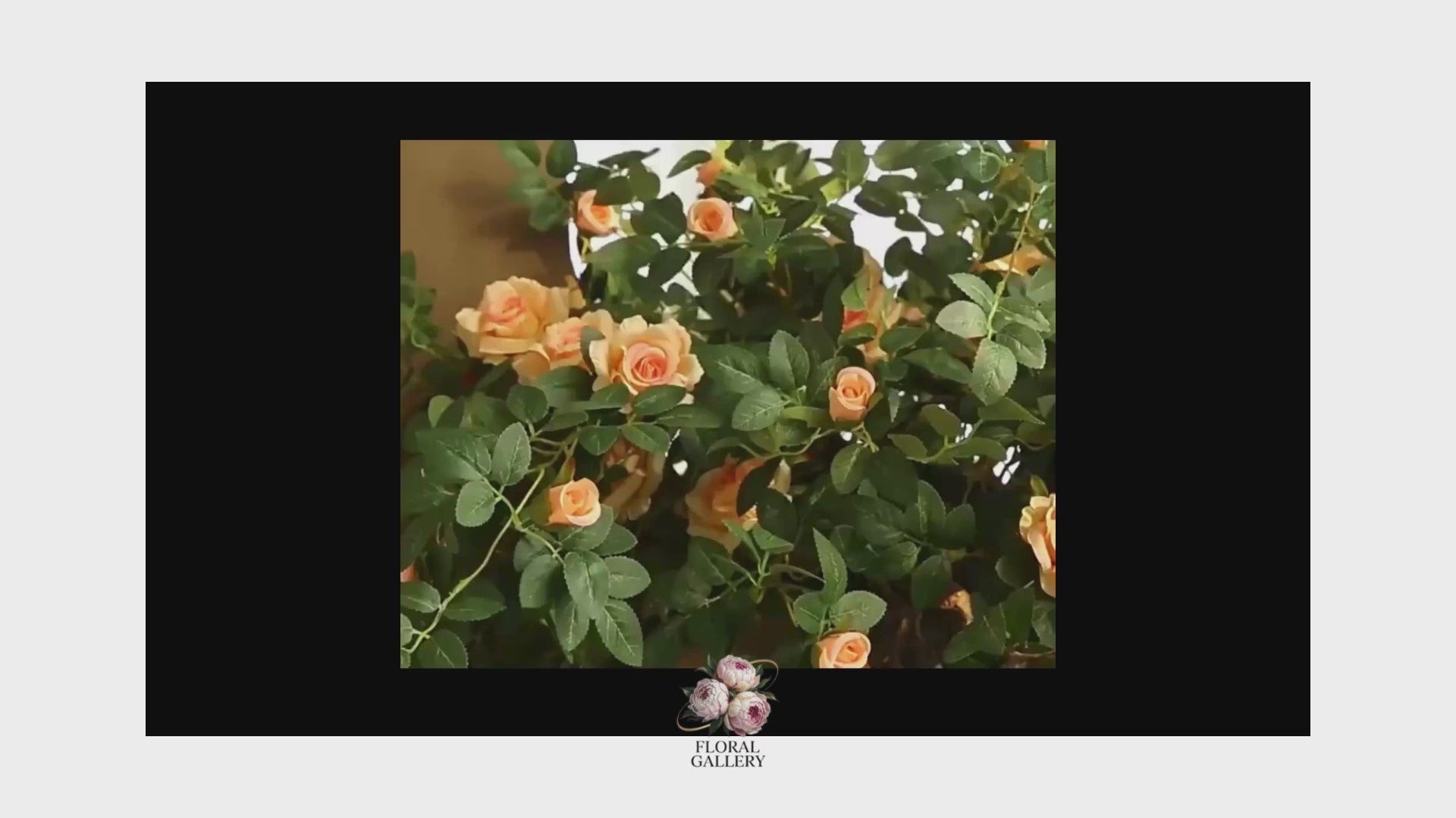 Premium Rattan Vine & SILK Roses Hanging Flowers 66cm Stem