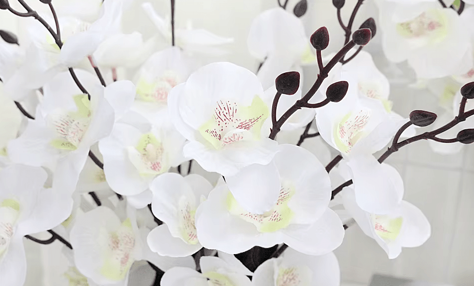 Realistic Dancing Orchid Premium SILK Flowers - The Floral Gallery