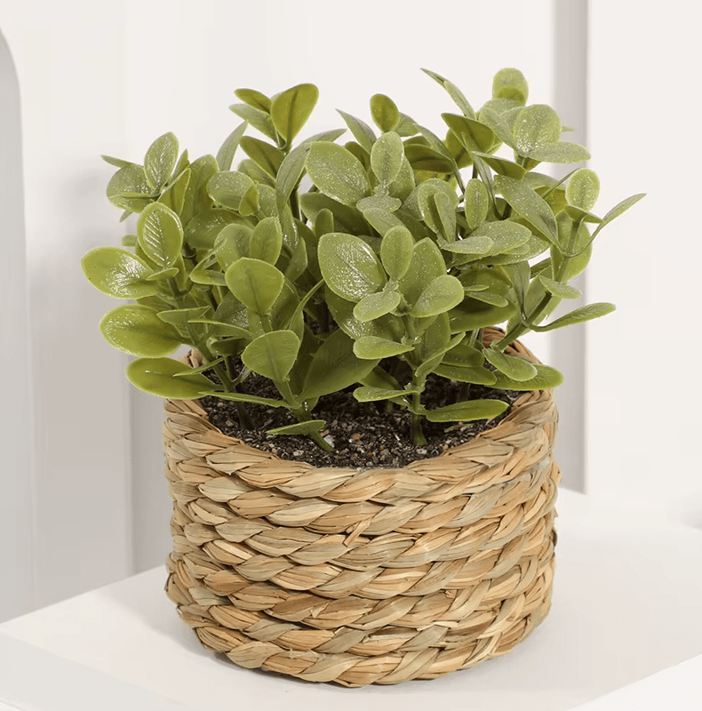 Woven Basket Artificial Eucalyptus Potted Plants - The Floral Gallery